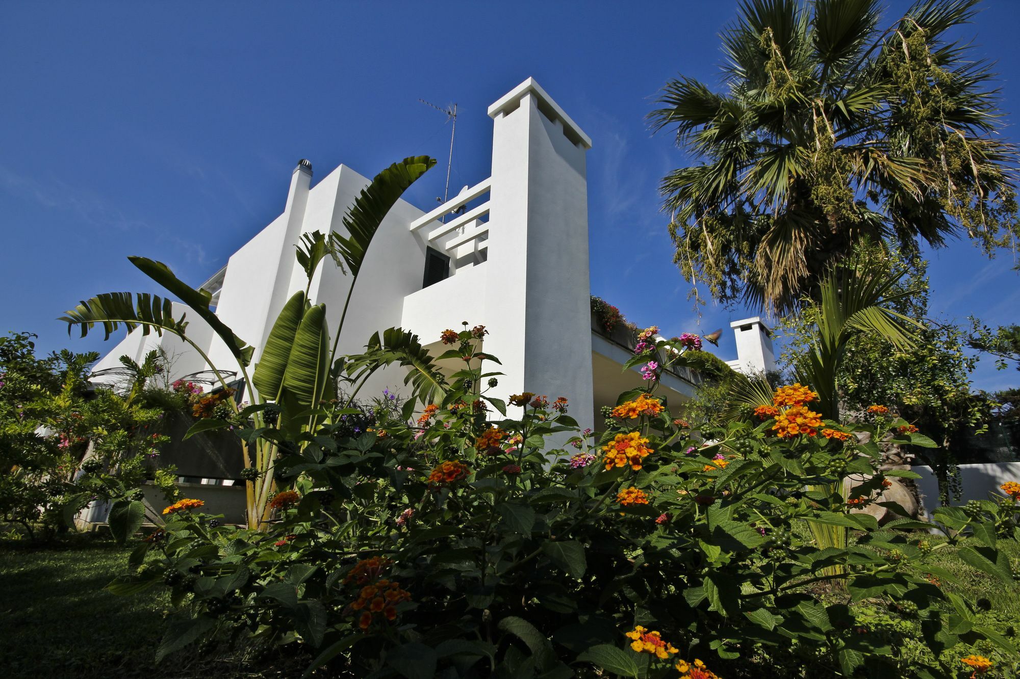 Villa Genny a 500 mt dalla spiaggia San Cataldo  Esterno foto